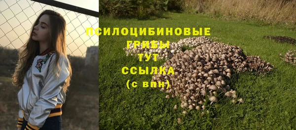 амф Зеленокумск