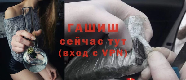 шишки Заволжск
