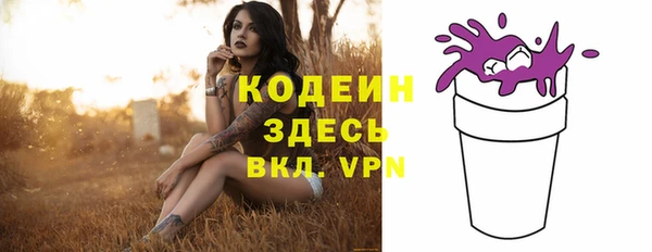 шишки Заволжск