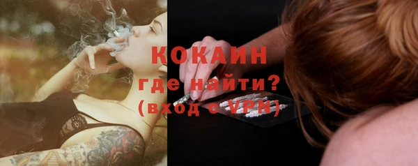 шишки Заволжск