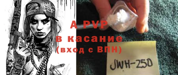 шишки Заволжск