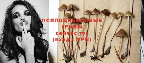 mdma Заводоуковск