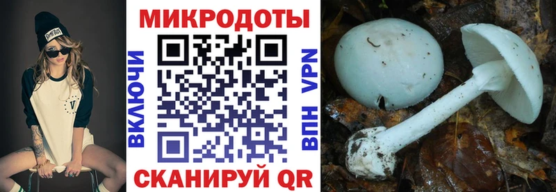 Псилоцибиновые грибы Psilocybe  хочу наркоту  Саранск 