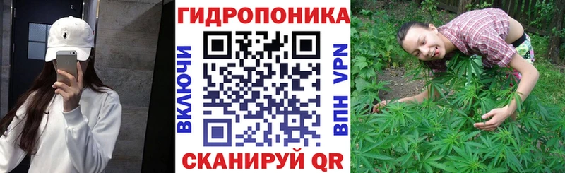 Канабис сатива  Саранск 